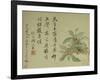 Cassia-Yun Shouping-Framed Giclee Print