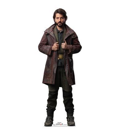 'Cassian Andor (Lucas/Disney+ Andor Series)' Cardboard Cutouts , Star