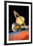 Cassini-Huygens Probe At Titan, Artwork-David Ducros-Framed Photographic Print