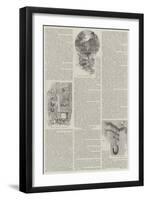 Cassiobury-Charles Auguste Loye-Framed Giclee Print