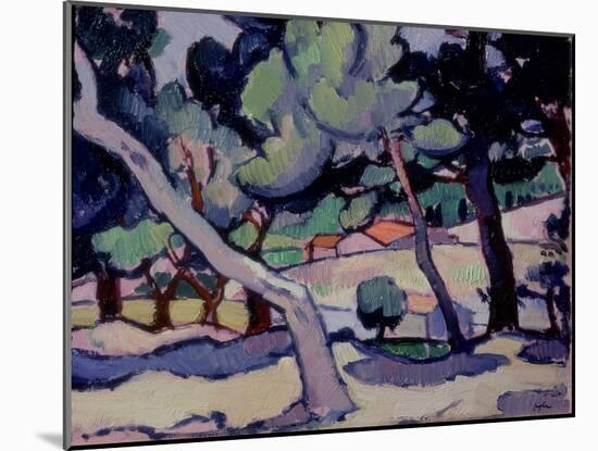 Cassis Landscape in Mid Spring, 1913-Samuel John Peploe-Mounted Giclee Print