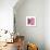 Cassis-Denise Duplock-Giclee Print displayed on a wall