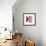 Cassis-Denise Duplock-Framed Giclee Print displayed on a wall