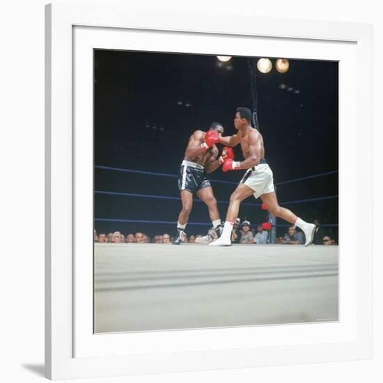 Cassius Clay, aka Muhammad Ali Throwing Famous "Phantom Punch"-George Silk-Framed Premium Photographic Print