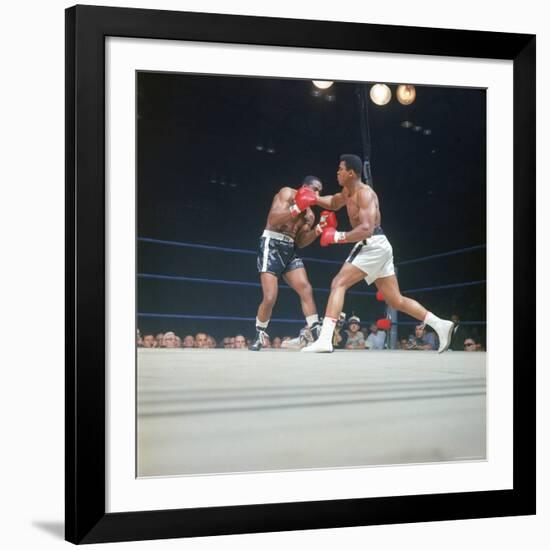 Cassius Clay, aka Muhammad Ali Throwing Famous "Phantom Punch"-George Silk-Framed Premium Photographic Print