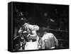 Cassius M. Clay and Sonny Liston During World Championship Fight-Ralph Morse-Framed Stretched Canvas