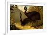 Cassowaries-F.W. Kuhnert-Framed Premium Giclee Print