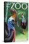 Cassowary - Visit the Zoo, c.2009-Lantern Press-Stretched Canvas