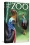 Cassowary - Visit the Zoo, c.2009-Lantern Press-Stretched Canvas