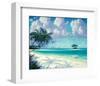 Cast Away Isle-Rick Novak-Framed Art Print