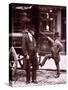 Cast Iron Billy from Street Life in London-John Thomson-Stretched Canvas