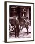 Cast Iron Billy from Street Life in London-John Thomson-Framed Giclee Print