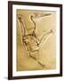 Cast of a Short-Tailed Pterosaur-Naturfoto Honal-Framed Photographic Print