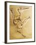 Cast of a Short-Tailed Pterosaur-Naturfoto Honal-Framed Photographic Print