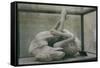 Cast of Dog, Pompeii, Campania, Italy-Walter Rawlings-Framed Stretched Canvas