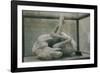 Cast of Dog, Pompeii, Campania, Italy-Walter Rawlings-Framed Photographic Print