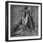 'Cast of Drapery for a Figure Kneeling to the Right', c1470 (1945)-Leonardo Da Vinci-Framed Giclee Print