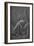 'Cast of Drapery for a Seated Figure', c1475 (1945)-Leonardo Da Vinci-Framed Giclee Print