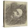 Cast of Shakespeare's Face-null-Stretched Canvas