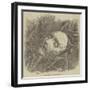 Cast of Shakespeare's Face-null-Framed Giclee Print