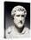 Cast Sculpture of Head of Antoninus Pius-null-Stretched Canvas