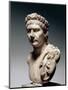 Cast Sculpture of Head of Emperor Trajan-null-Mounted Giclee Print