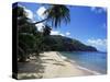 Castara Bay, Tobago, West Indies, Caribbean, Central America-Yadid Levy-Stretched Canvas