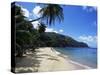 Castara Bay, Tobago, West Indies, Caribbean, Central America-Yadid Levy-Stretched Canvas