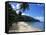 Castara Bay, Tobago, West Indies, Caribbean, Central America-Yadid Levy-Framed Stretched Canvas