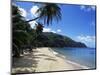 Castara Bay, Tobago, West Indies, Caribbean, Central America-Yadid Levy-Mounted Photographic Print