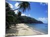 Castara Bay, Tobago, West Indies, Caribbean, Central America-Yadid Levy-Mounted Photographic Print