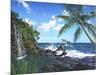 Castaway Cove-Scott Westmoreland-Mounted Art Print