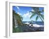 Castaway Cove-Scott Westmoreland-Framed Art Print