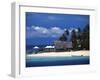 Castaway Island Resort, Mamanuca Islands, Fiji-David Wall-Framed Premium Photographic Print