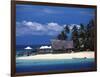 Castaway Island Resort, Mamanuca Islands, Fiji-David Wall-Framed Photographic Print