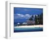 Castaway Island Resort, Mamanuca Islands, Fiji-David Wall-Framed Photographic Print