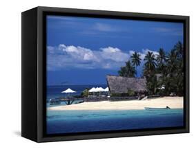 Castaway Island Resort, Mamanuca Islands, Fiji-David Wall-Framed Stretched Canvas