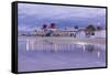 Castaways-NjR Photos-Framed Stretched Canvas