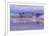 Castaways-NjR Photos-Framed Giclee Print