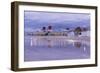 Castaways-NjR Photos-Framed Giclee Print