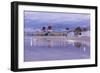 Castaways-NjR Photos-Framed Giclee Print