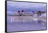 Castaways-NjR Photos-Framed Stretched Canvas