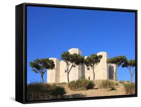 Castel del Monte (Federico II Castle), UNESCO World Heritage Site, Puglia, Italy, Europe-Vincenzo Lombardo-Framed Stretched Canvas