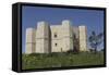 Castel Del Monte, Octagonal Castle, Built for Emperor Frederick Ii in the 1240S, Apulia, Italy-Stuart Forster-Framed Stretched Canvas