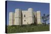 Castel Del Monte, Octagonal Castle, Built for Emperor Frederick Ii in the 1240S, Apulia, Italy-Stuart Forster-Stretched Canvas