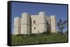 Castel Del Monte, Octagonal Castle, Built for Emperor Frederick Ii in the 1240S, Apulia, Italy-Stuart Forster-Framed Stretched Canvas