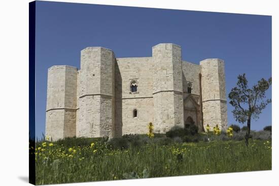 Castel Del Monte, Octagonal Castle, Built for Emperor Frederick Ii in the 1240S, Apulia, Italy-Stuart Forster-Stretched Canvas