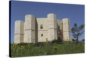 Castel Del Monte, Octagonal Castle, Built for Emperor Frederick Ii in the 1240S, Apulia, Italy-Stuart Forster-Stretched Canvas