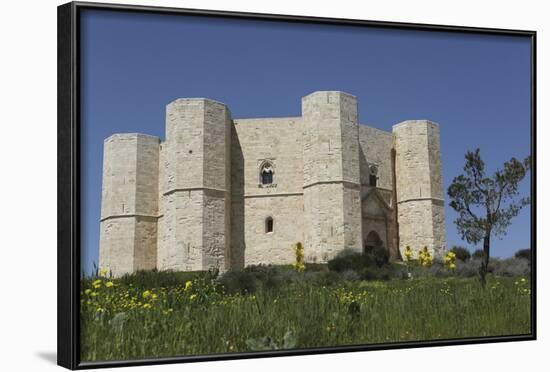 Castel Del Monte, Octagonal Castle, Built for Emperor Frederick Ii in the 1240S, Apulia, Italy-Stuart Forster-Framed Photographic Print