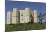 Castel Del Monte, Octagonal Castle, Built for Emperor Frederick Ii in the 1240S, Apulia, Italy-Stuart Forster-Mounted Photographic Print